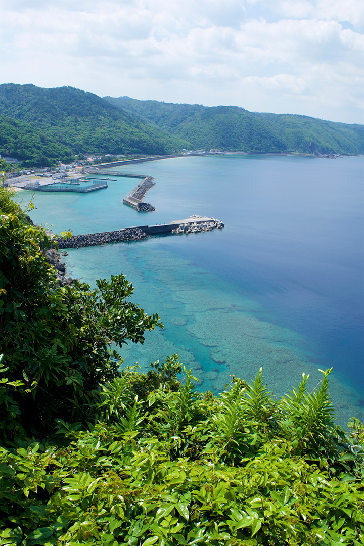 茅打ちバンタ（国頭村）